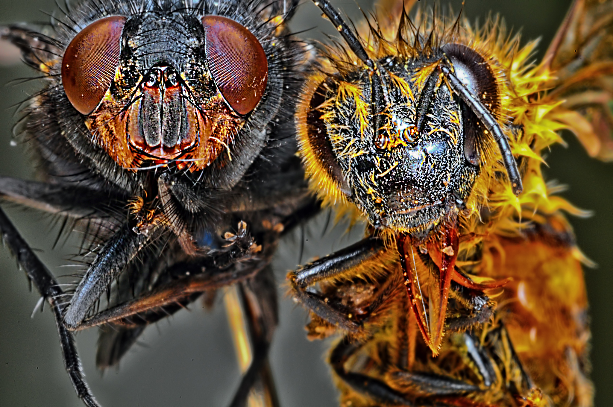 Gözüm kapalı çıktı