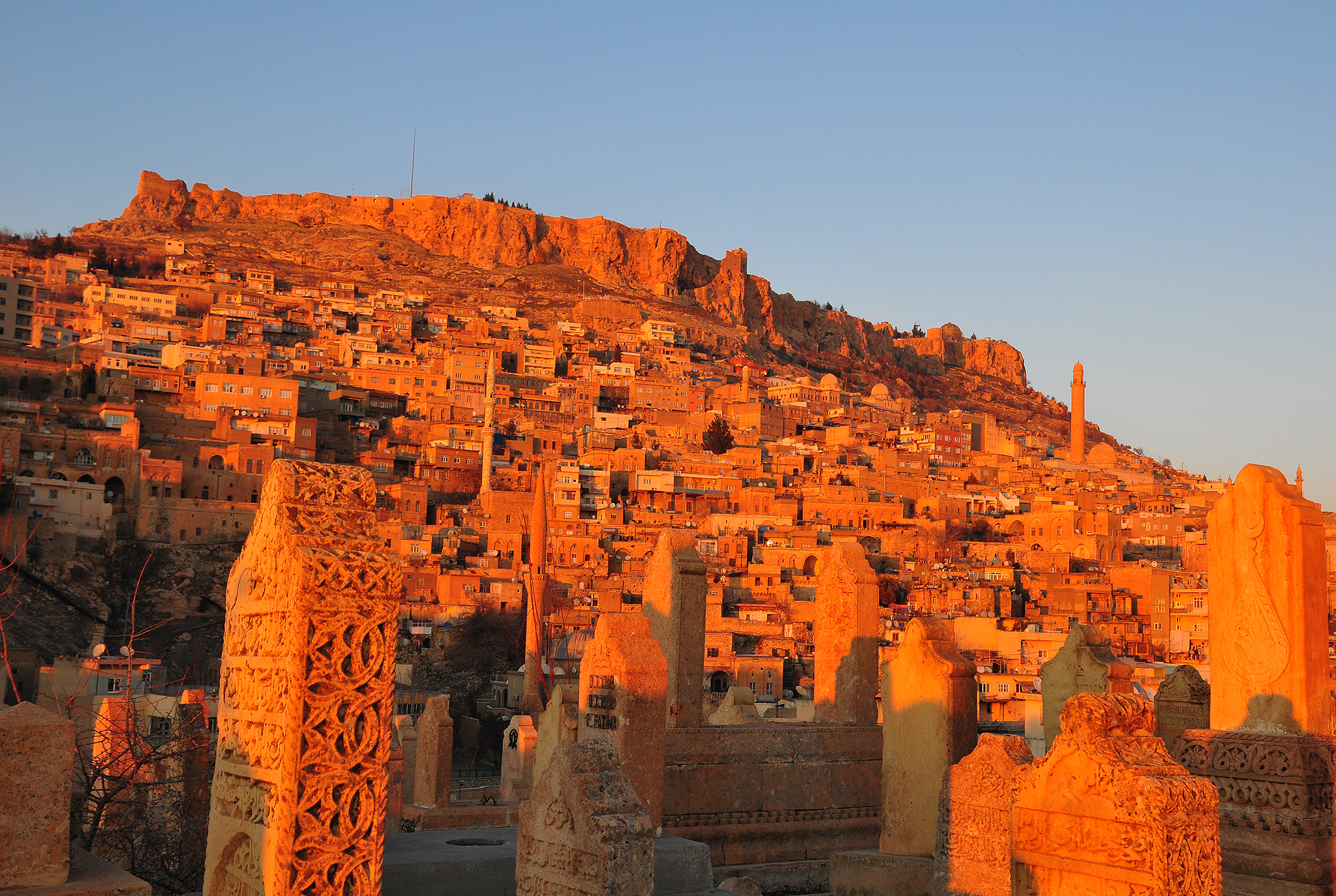 Mardin